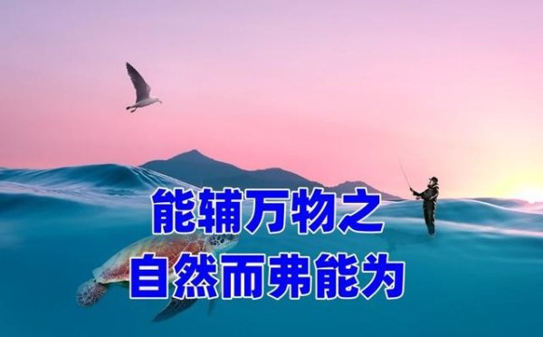 人生结局由系统决定——老子思想中的“道”与万物关系