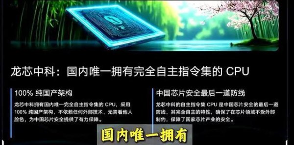 细分赛道第一名不稀罕，稀罕的是这16家赛道里只有它一个玩家