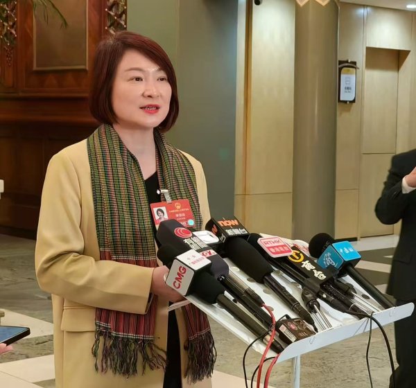 全国人大常委会委员、香港特别行政区立法会主席李慧琼：建议在粤港澳大湾区打造全球首个跨境常态低空飞行航线
