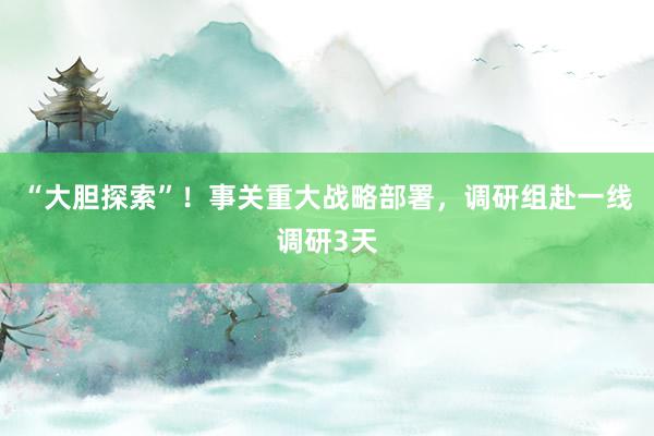 “大胆探索”！事关重大战略部署，调研组赴一线调研3天