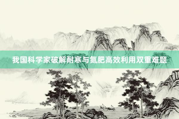 我国科学家破解耐寒与氮肥高效利用双重难题