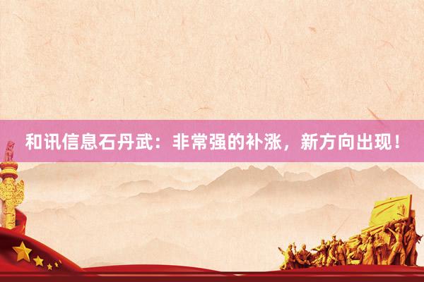 和讯信息石丹武：非常强的补涨，新方向出现！