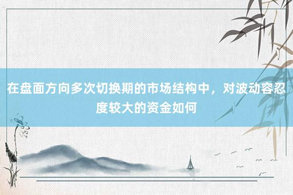 在盘面方向多次切换期的市场结构中，对波动容忍度较大的资金如何