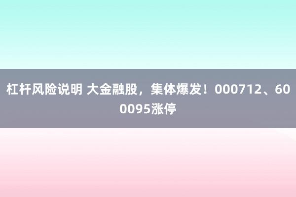 杠杆风险说明 大金融股，集体爆发！000712、600095涨停