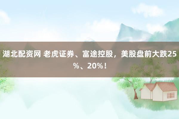 湖北配资网 老虎证券、富途控股，美股盘前大跌25%、20%！