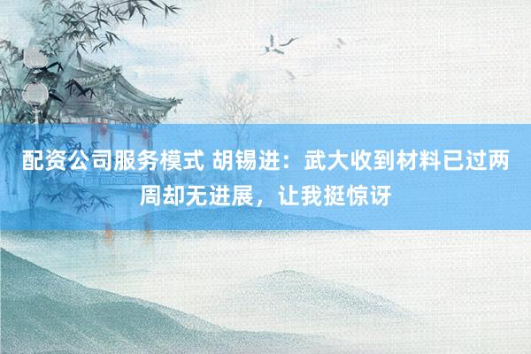 配资公司服务模式 胡锡进：武大收到材料已过两周却无进展，让我挺惊讶