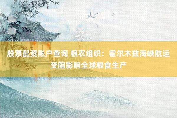股票配资账户查询 粮农组织：霍尔木兹海峡航运受阻影响全球粮食生产