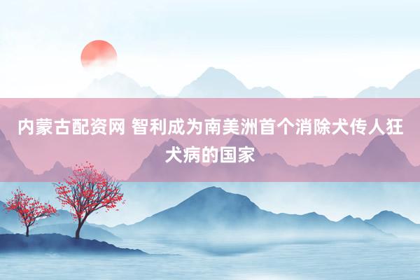 内蒙古配资网 智利成为南美洲首个消除犬传人狂犬病的国家