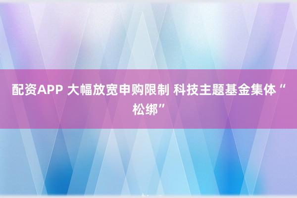 配资APP 大幅放宽申购限制 科技主题基金集体“松绑”