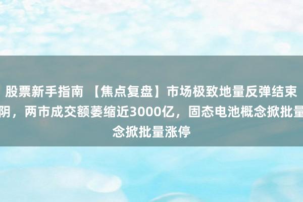 股票新手指南 【焦点复盘】市场极致地量反弹结束四连阴，两市成交额萎缩近3000亿，固态电池概念掀批量涨停