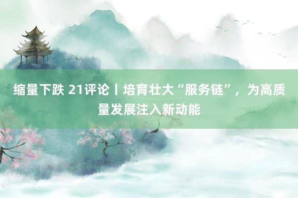 缩量下跌 21评论丨培育壮大“服务链”，为高质量发展注入新动能